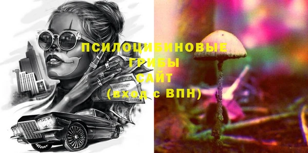 2c-b Медногорск