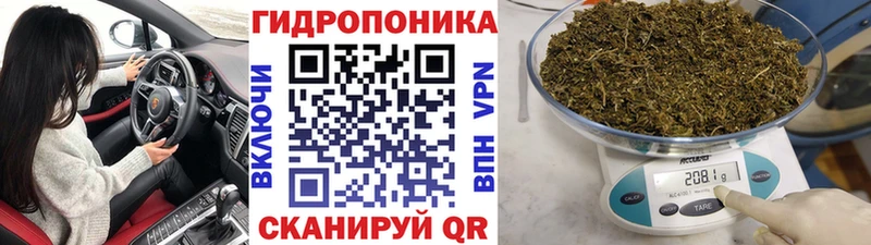 Купить где  Евпатория  Бошки Шишки SATIVA & INDICA 